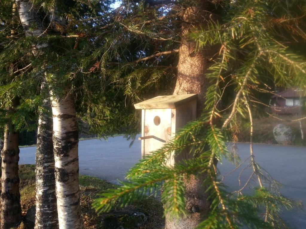 Heddan Gjestegard Tingvatn Exterior foto