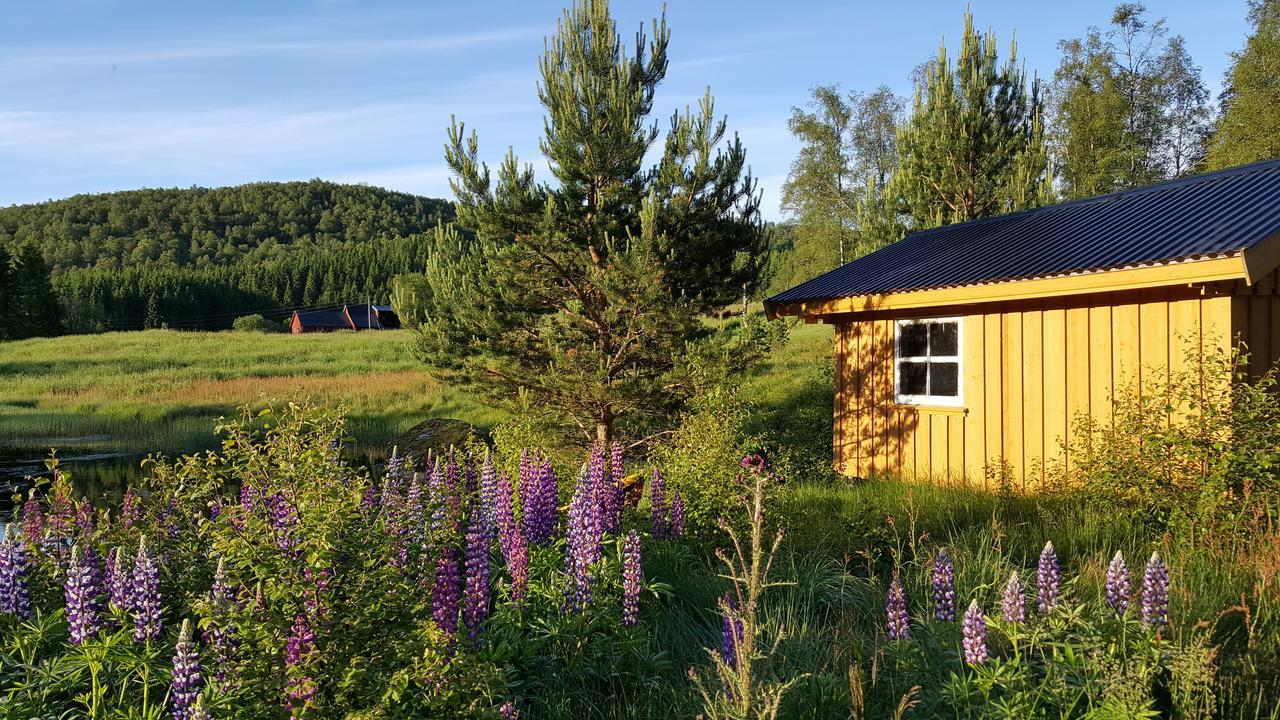 Heddan Gjestegard Tingvatn Exterior foto